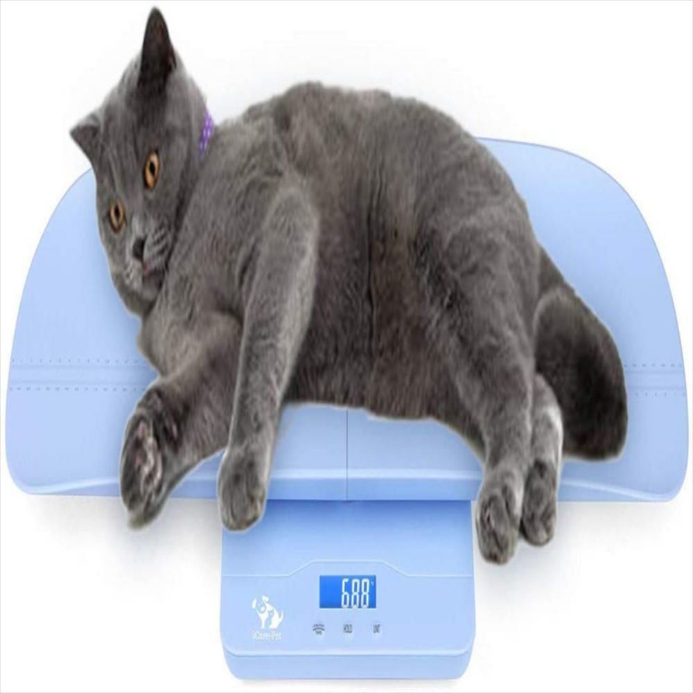 Báscula Digital Decuada Para Bebés O Mascotas Máx 220Lb