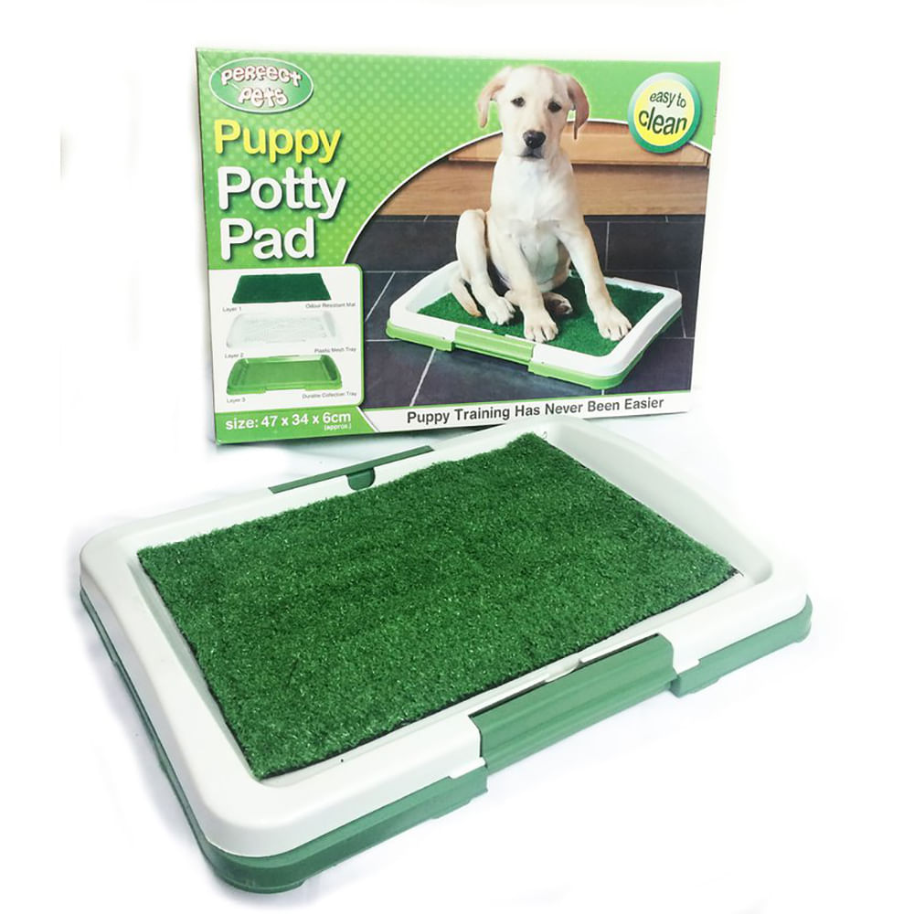 https://exitocol.vteximg.com.br/arquivos/ids/527836/tapete-para-perro-puppy-potty-pad-bano-portatil.jpg?v=637011325591200000