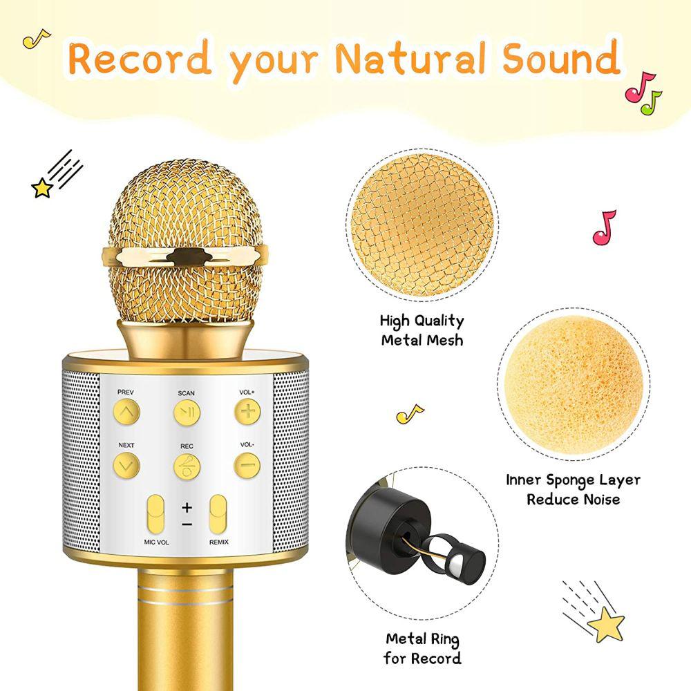 Microfono Gold Karaoke Niños