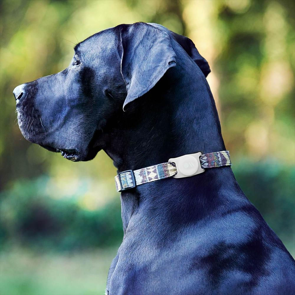 Airtag Case Mate Dog Collar Mount Transparente/Brillo En La Oscuridad img #4