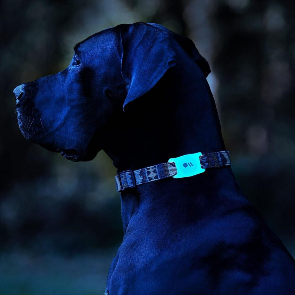 Airtag Case Mate Dog Collar Mount Transparente/Brillo En La Oscuridad img #5